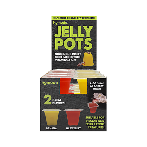 KOMODO JELLY POTS BOX Banana or Strawberry SINGLES