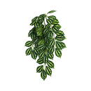 KOMODO TWO-TONE LEAF CLIMBING PLANT LARGE 16" PLANT DECORATION