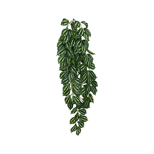 KOMODO TWO-TONE LEAF CLIMBING PLANT LARGE 24" PLANT DECORATION