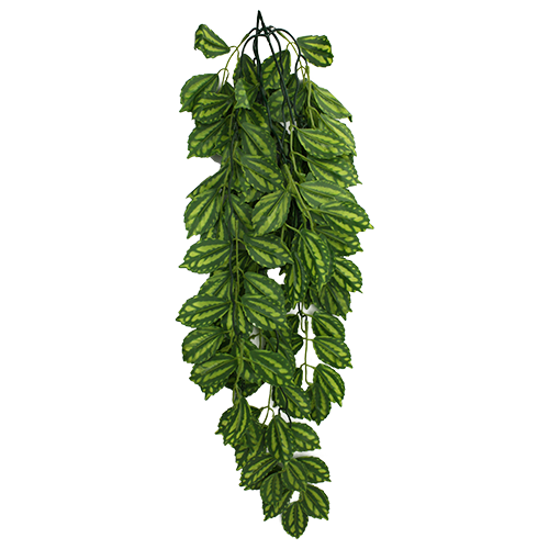 KOMODO TWO-TONE LEAF CLIMBING PLANT LARGE 24" PLANT DECORATION