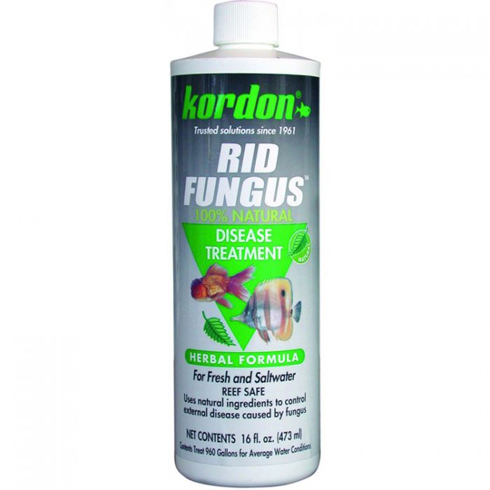 KORDON Rid Fungus 16 oz. (473ml)