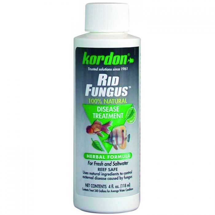 KORDON Rid Fungus 4 oz. (118ml)