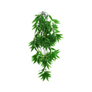 Komodo Bamboo Climbing Plant Large 24" Plant Decoration
