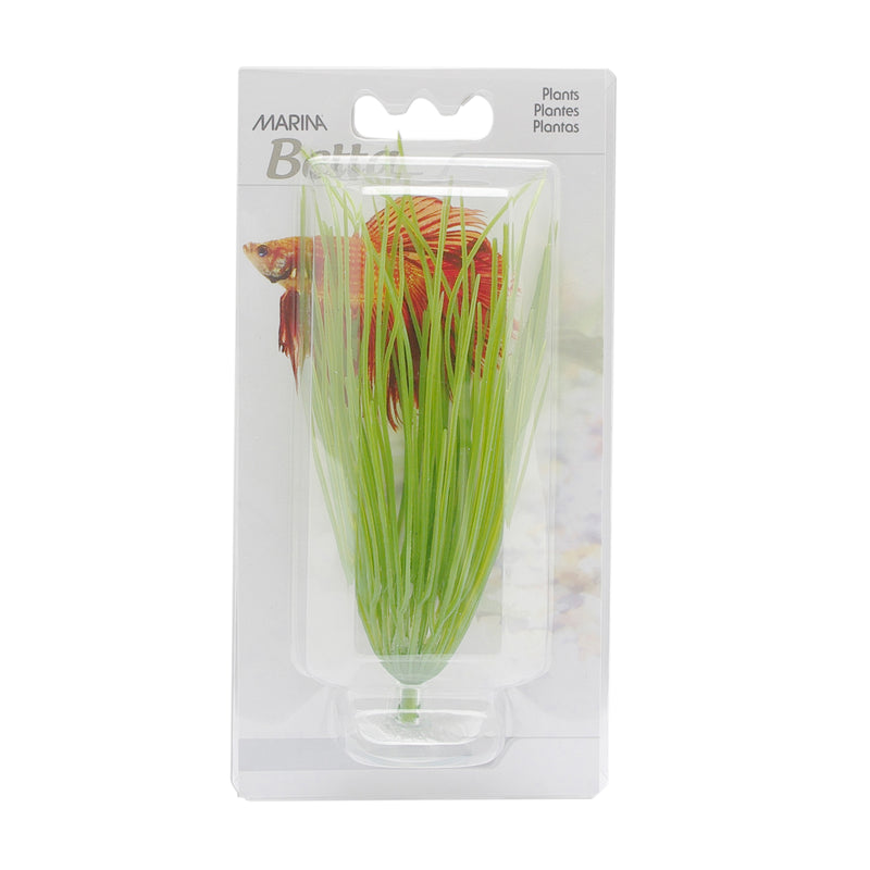 Marina Betta Kit Hairgrass Plant With Suction Cup - 12.7 cm (5in)