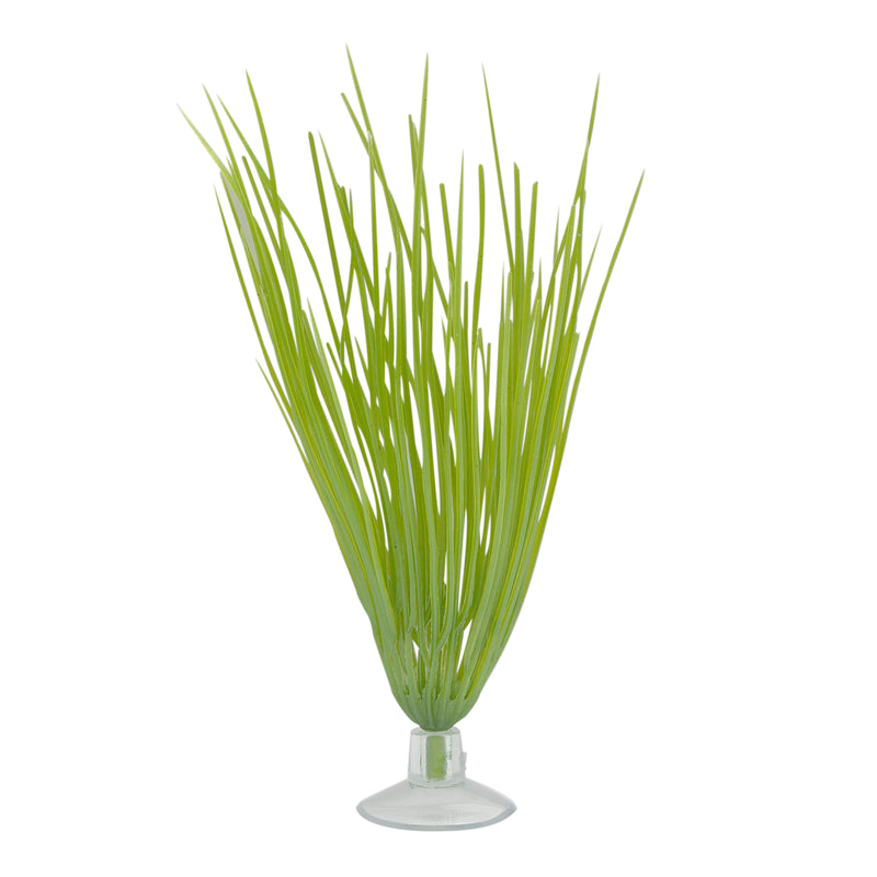 Marina Betta Kit Hairgrass Plant With Suction Cup - 12.7 cm (5in)