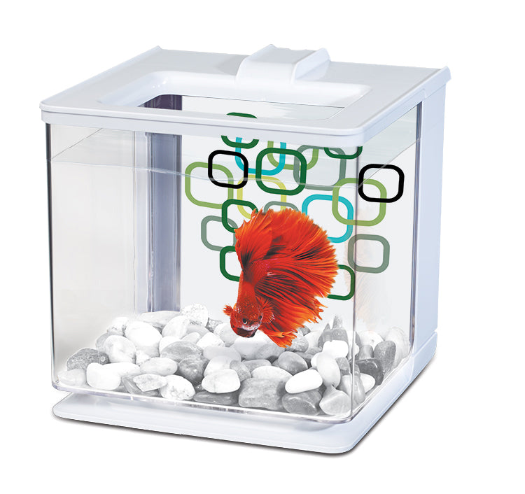 Marina EZ-Care Betta Kit 2.5L  - White