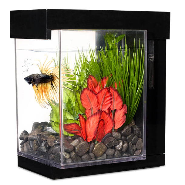 Marina Betta Style Aquarium - Black - 3.7 L (1 US gal)