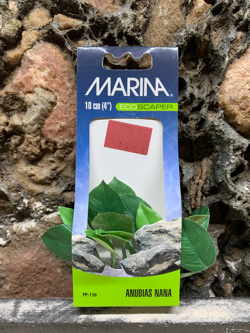 Marina EcoScaper Silk Anubias nana 15cm (4")  PP-150