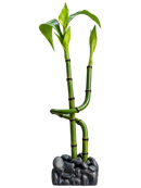 Marina Bamboo Aquarium Ornament – 10"