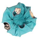 Marshall Ferret-Go-Round