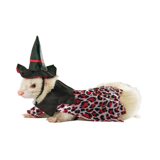 Marshall Ferret Witch Costume