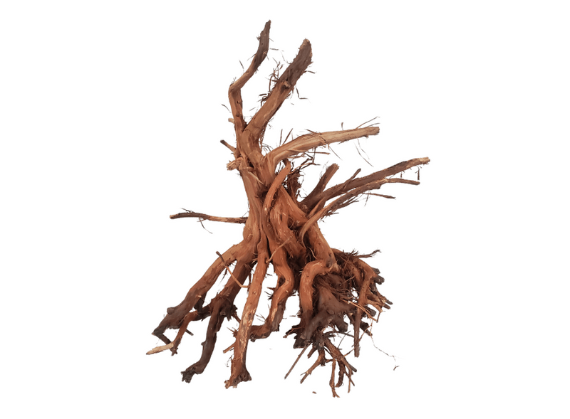 Mekong Spider Wood For Aquariums or Terrariums 12" to 14"