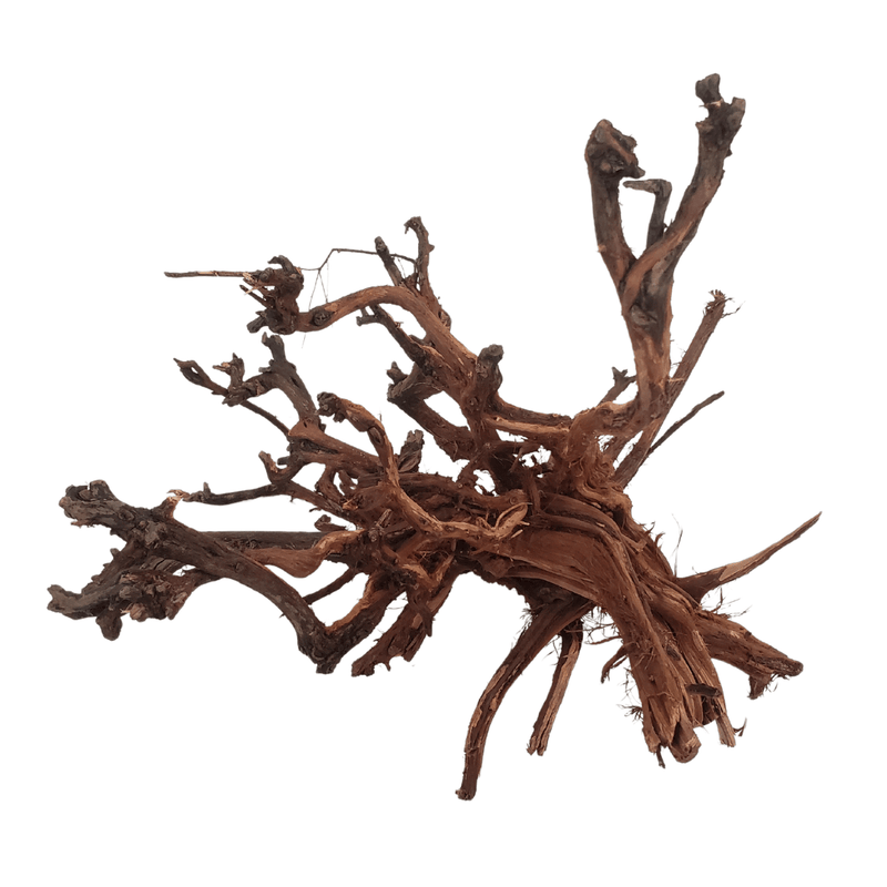 Mekong Spider Wood For Aquariums or Terrariums 6"