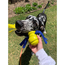 Nylabone Power Play Dog Fetch Toys Fling-a-Bounce Large