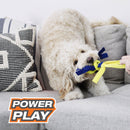 Nylabone Power Play Dog Fetch Toys Fling-a-Bounce Large