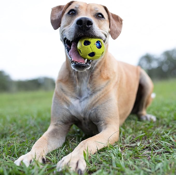 Nerf Dog LED BASH Ball - Medium - 8.9 cm (3.5 in)