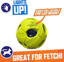 Nerf Dog LED BASH Ball - Medium - 8.9 cm (3.5 in)