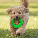 Nerf Dog Scentology Ring Beef-NF-2915