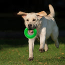 Nerf Dog Scentology Ring Beef-NF-2915