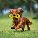 Nerf Dog Scentology Tug Peanut Butter-NF-2913