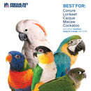 PREVUE HENDRYX Playfuls "Ritual Dance"