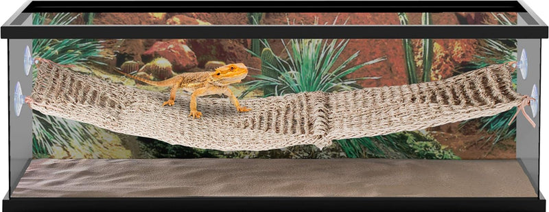 Penn Plax Lizard Lounger - Bridge -Extra Large -38" x 14" Ideal for Climbers - 100% Natural