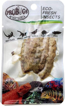 ProBugs Eco-Fresh Insects - Silkworms - 5 Pcs.
