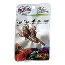 ProBugs Eco-Fresh Insects - Scorpions – Quantity-3