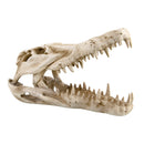 RT Dino Skull Shelter - 10in