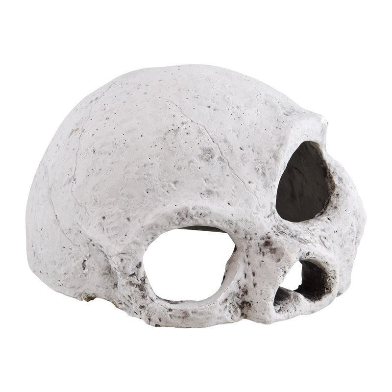 RT Ceramic Skull - Large