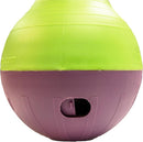 Starmark Bob-A-Lot Interactive Pet Toy, Large, Yellow/Green/Purple