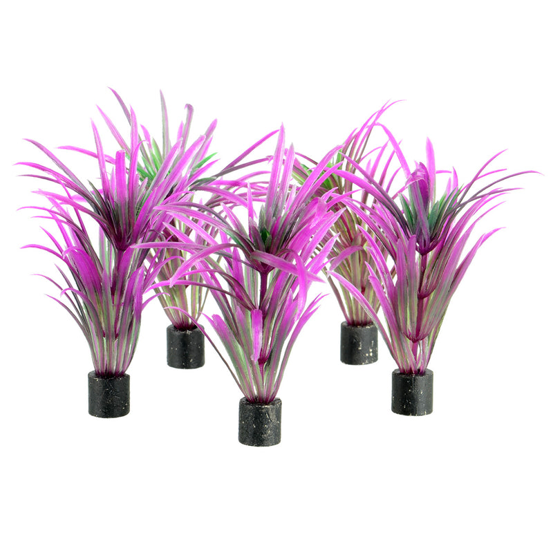 UT Mini Plant - Purple Grass - 3" - 5 pk