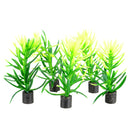 UT Mini Plant - Green Bush - 2.5" - 5 pk