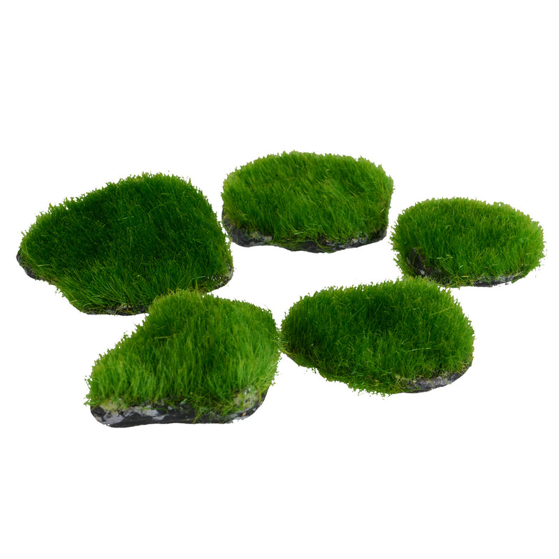 UT Mini Moss Rock - 5 pk