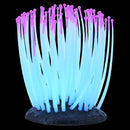 UT Glo Glowing Anemone - Pink - Small