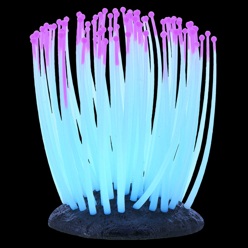 UT Glo Glowing Anemone - Pink - Small