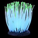 UT Glowing Anemone - Green - Small