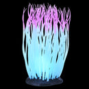 UT Glowing Anemone - Pink - Large