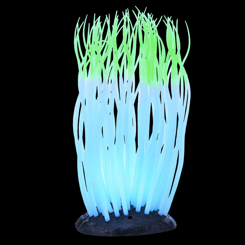 UT Glowing Anemone - Green - Large
