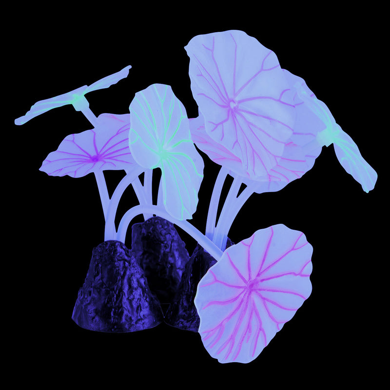 UT Glowing Lotus Leaf - 3 pk