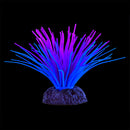 UT Sea Anemone - Purple/Blue Ornament