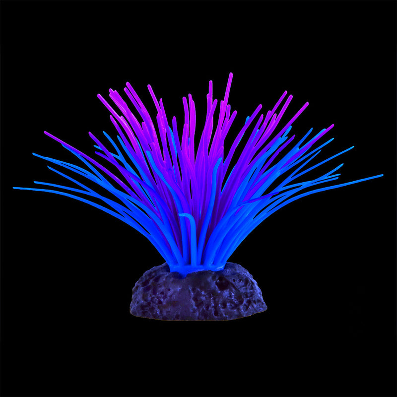 UT Sea Anemone - Purple/Blue Ornament