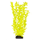 UT Ludwigia - Yellow - 12"