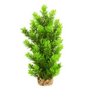 UT Ambulia Tree - 12" Aquarium Ornament