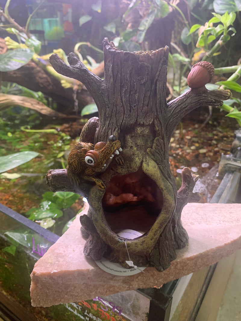 UT Hollow Stump with Acorn and Scrat like Squirrel Aquarium/Reptile ornament