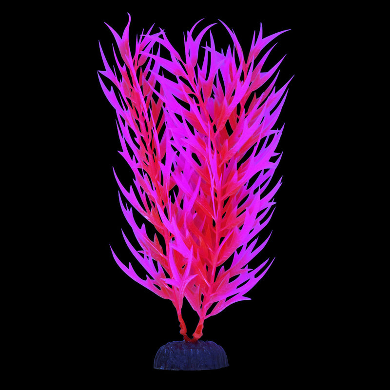 UT Glowing Glow Bamboo - Pink
