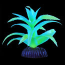 UT Glo Glowing Aloe Vera