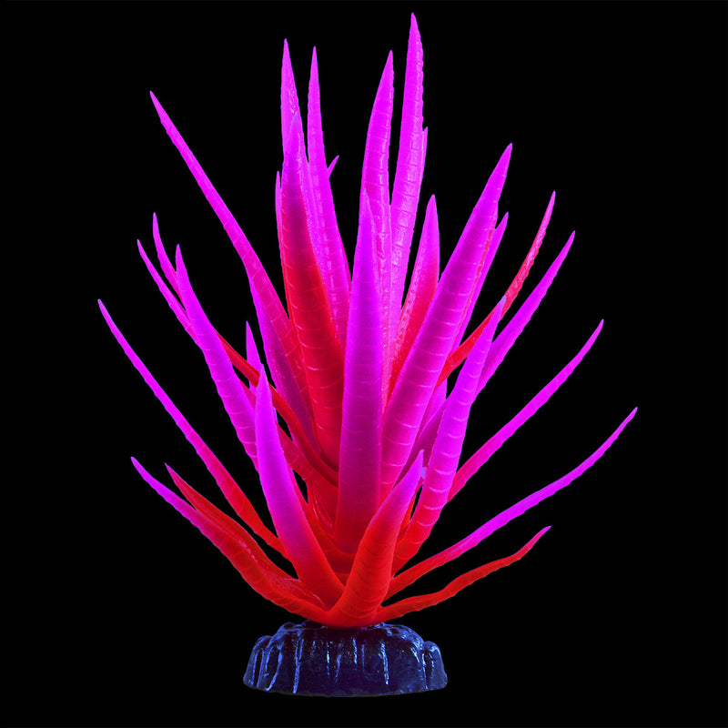 UT Glo Glowing Yucca - Pink - Medium