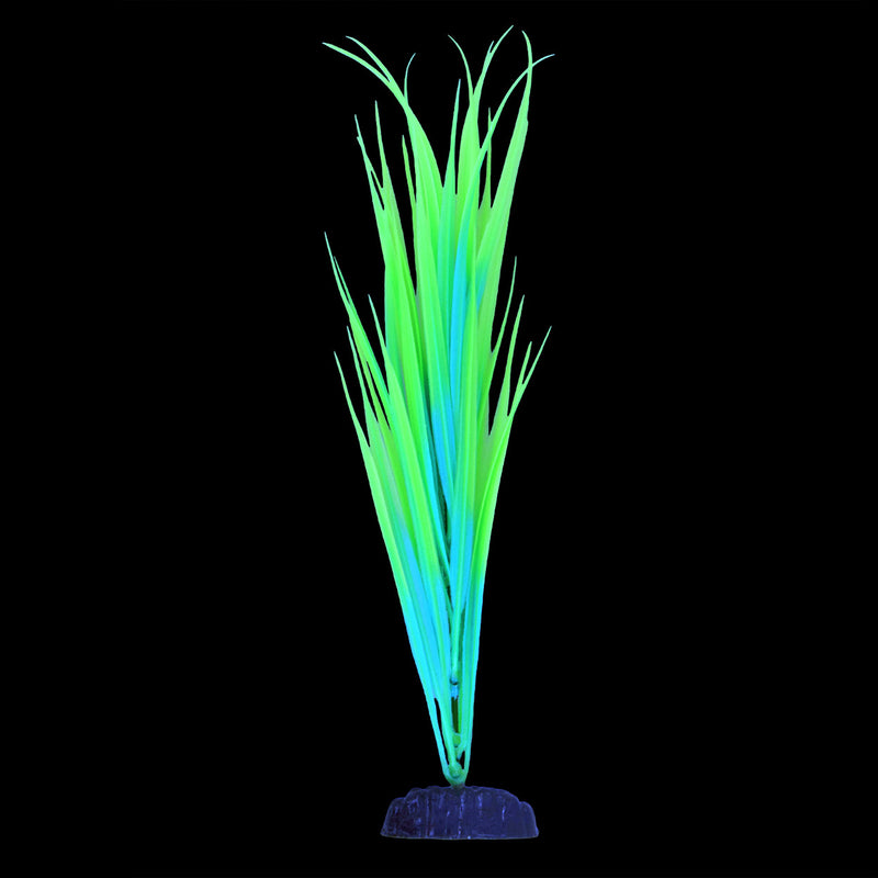 UT Glow Sagittaria - Green - "Glow in the Dark"