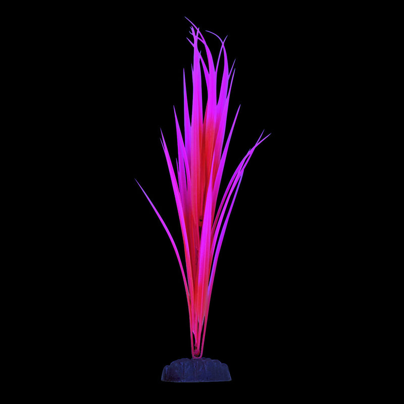 UT Glow Sagittaria - Pink - "Glow in the Dark"